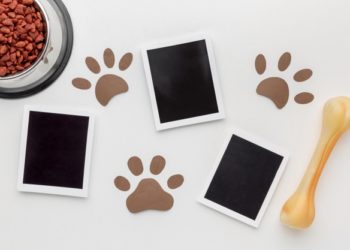 7 app gratuite per chi ha un amico a 4 zampe