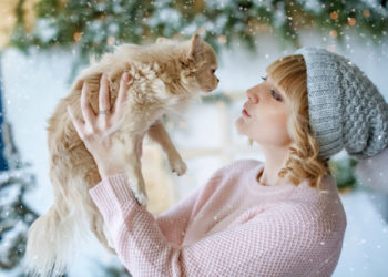 10 consigli per proteggere i nostri animali durante l’inverno