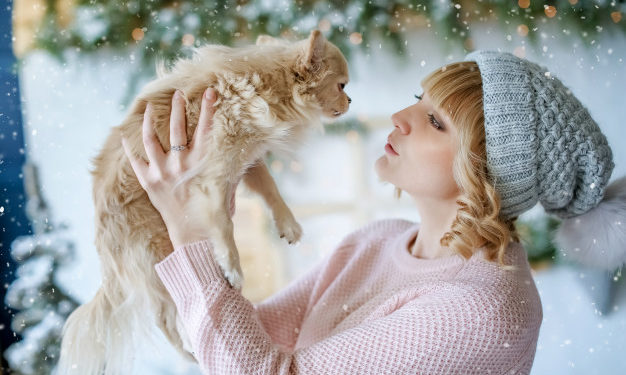 10 consigli per proteggere i nostri animali durante l’inverno