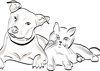 Animali domestici: Bonus 2022