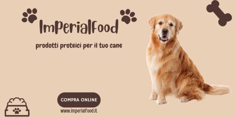 Alimentazione cani da caccia: cosa sapere per scegliere il miglior cibo
