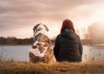 Giornata Mondiale del cane: come festeggiarla al meglio