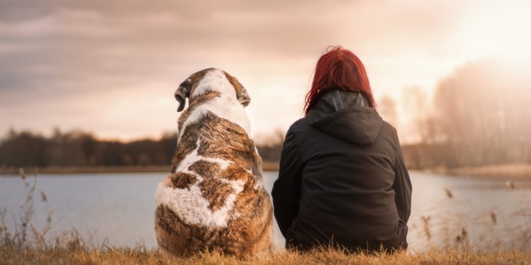 Giornata Mondiale del cane: come festeggiarla al meglio