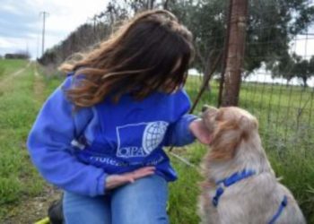 PER AIUTARE I RANDAGI ARRIVANO IL CALENDARIO E LE AGENDINE 2023 DELL’OIPA