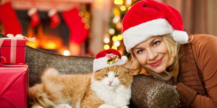 Il Natale e i pericoli per i nostri amici animali