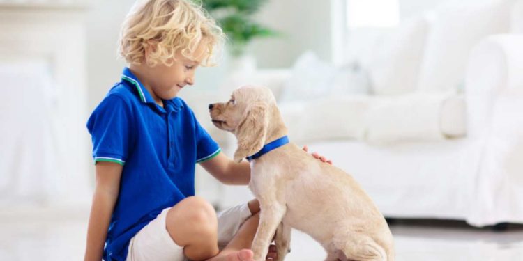 Animale domestico e neonato, ecco come dar inizio ad un rapporto duraturo