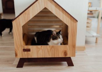 Come costruire una cuccia per gatti fai da te