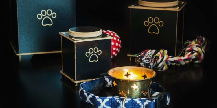 5 modi per commemorare il tuo animale domestico dopo la sua perdita