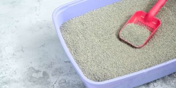 Come pulire una lettiera del gatto: Guida pratica
