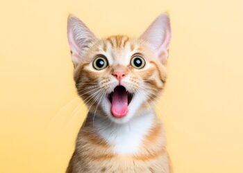 La bellezza dei gatti: Un’analisi del fascino felino